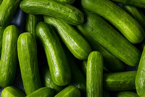 Guide To Different Types Of Cucumbers | Nature Fresh Farms