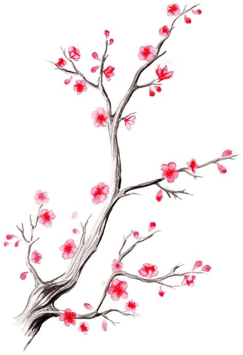 cherry blossom branch | Cherry blossom drawing, Blossom tree tattoo, Cherry blossom art