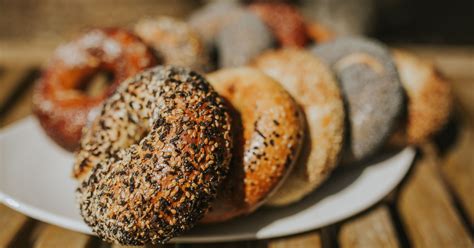 Toasted: Artisanal Bagels | Indiegogo