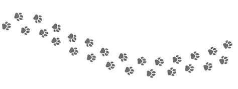 Footpath Trail Animal Dog Cat Paws | Cat paws, Cat paw print, Cats