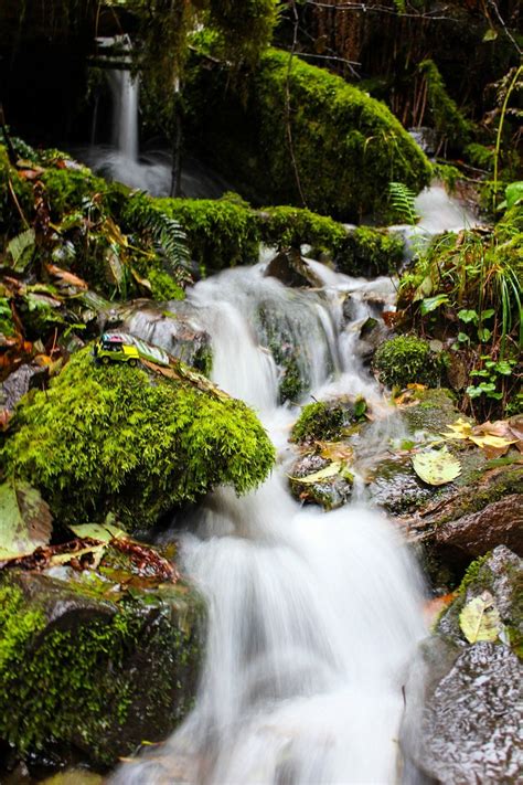 Went on a little adventure in the windy rainy weather. Sweet Creek ...