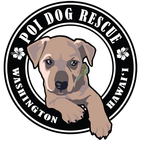 Adoption – Poi Dog Rescue