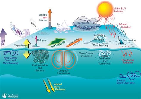 Center for Air-Sea Interaction and Marine Atmospheric Sciences at WHOI