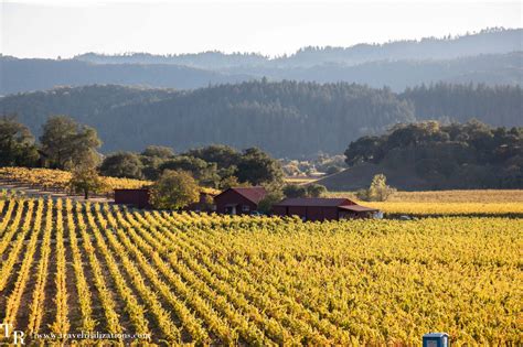 Fall colors in Napa Valley - A Photo Essay - Travel Realizations