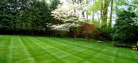 Lawn Care Near Me - Services, Checklist And Free Quotes In 2023