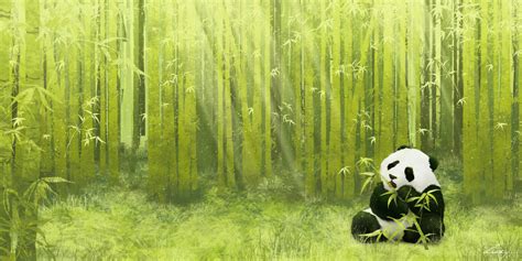 Bamboo Forest by Zarory on DeviantArt