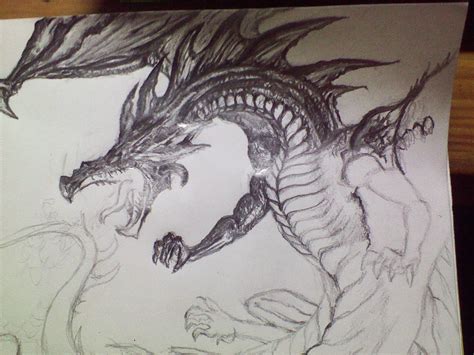 Realistic Dragon Breathing Fire Drawing