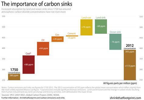 Carbon Sinks and Cycles | Storm Lake, IA - Official Website