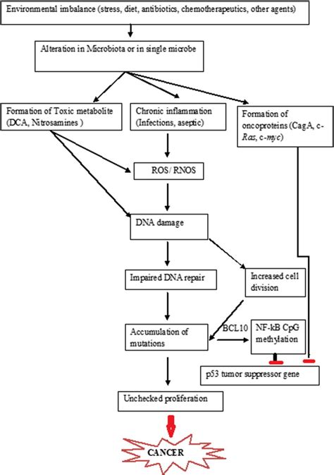 Metagenomics: A new horizon in cancer research. - Abstract - Europe PMC