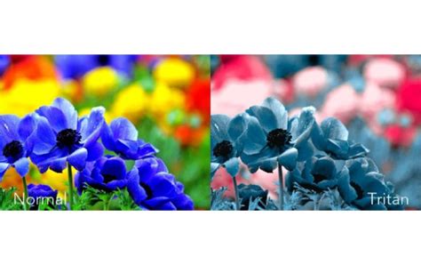 What Is Tritan Color Blindness? | OBN