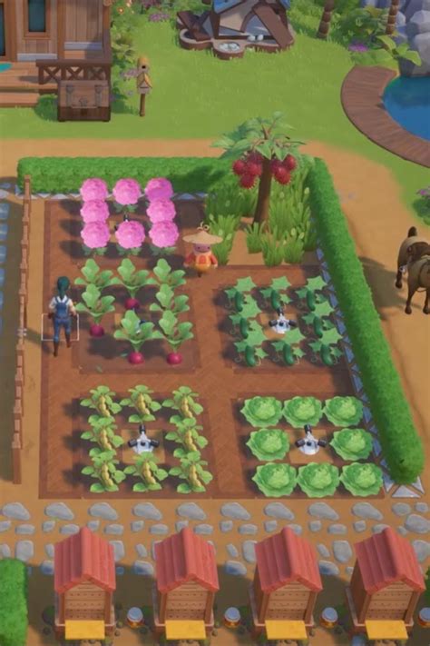 Tending The Garden on Coral Island - Farm Layout with Plants and Animals