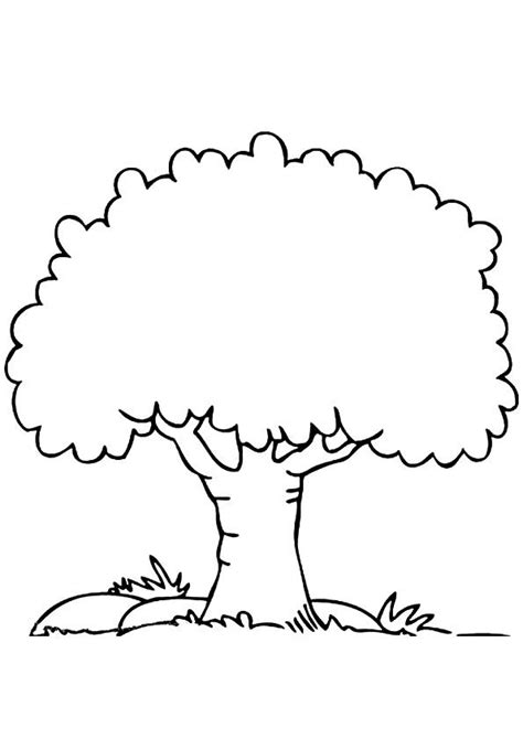 Coloring Page | Tree drawings pencil, Tree drawing simple, Tree coloring page