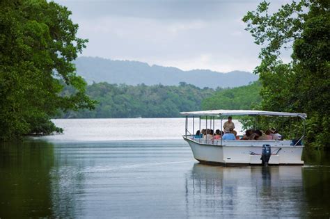 Daintree Rainforests Best Selection of Tours and Attractions