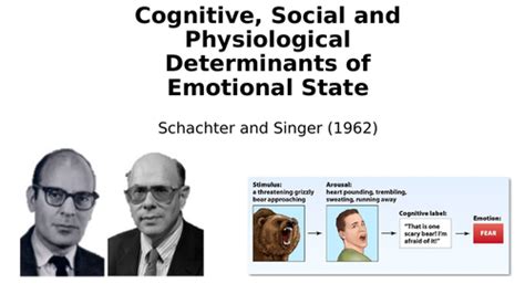 Schacter & Singer - 1962 | Teaching Resources