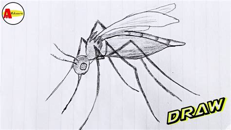 Share more than 70 mosquito pencil sketch latest - seven.edu.vn