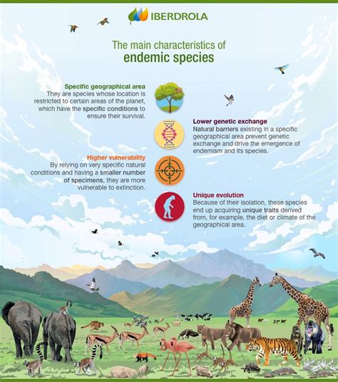 Biodiversity - Definition and Examples - Biology Online Dictionary