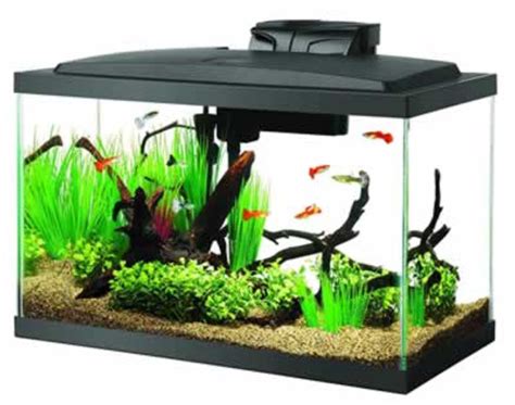 Aqueon LED Aquarium Kit 55 Gallons - CountryMax