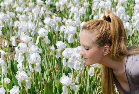 Smelling Flowers stock image. Image of field, closed - 24712633