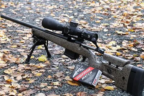 5 Best Deer Hunting Rifles and Accessories - Florida Independent