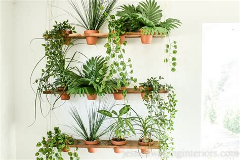 Build Indoor Vertical Garden - Garden Design Ideas