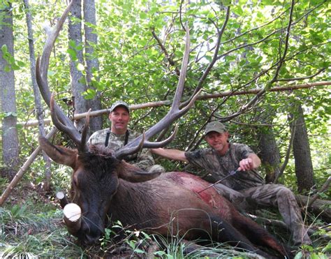 Montana Hunting Outfitter | Elk Hunting Trips, Rifle, Archery Big Bull Elk Hunts