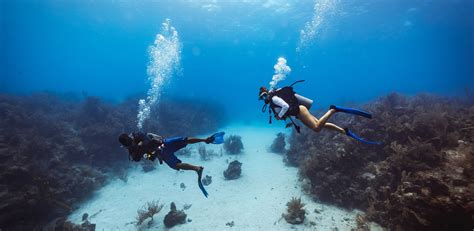 Belize Scuba Diving Tours | Glover's Reef Atoll | Blue Hole Diving