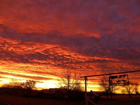 Winter solstice sunrise | Morning Bray Farm