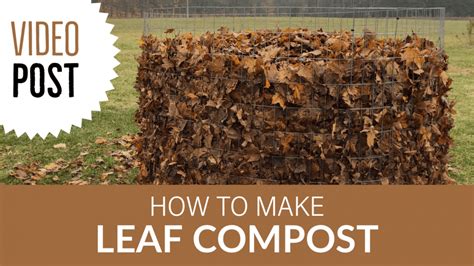 [Video] How to Make Leaf Compost - Julia Dimakos