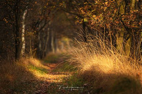 Using a Shallow Depth of Field for Landscapes | Fstoppers