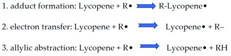 Three possible reactions of lycopene with radical species [41 ...