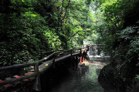 Mount Qingcheng - Mount Qingcheng Chengdu, Mt. Qingcheng