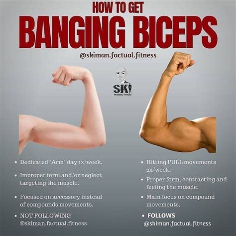 5 Biceps Tips That Build Size No Matter Your Level Of Experience! - GymGuider.com | Biceps ...