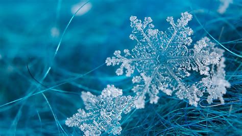 frost - Google Search | Snowflake wallpaper, Snowflakes real, Winter ...