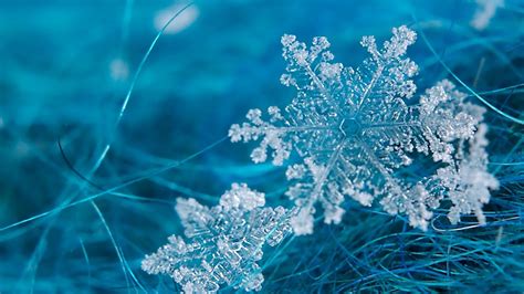 frost - Google Search | Snowflake wallpaper, Snowflakes real, Winter ...