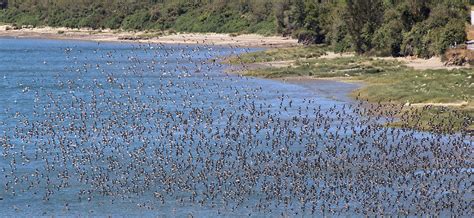 Governments of the world meet to promote the conservation of coastal ...