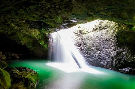 Natural Bridge Glow Worm Night Tour - Gold Coast, Australia | Gray Line