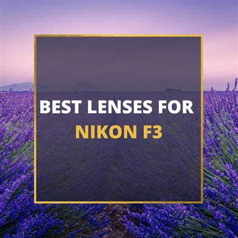 📸 5 MUST-OWN Lenses For Nikon F3 In 2024 [Guide]