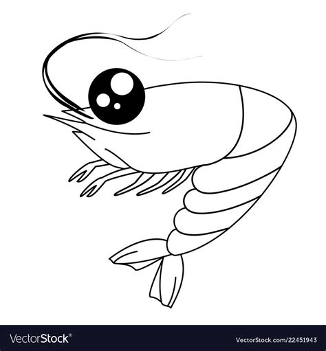 Cartoon shrimp contour drawing coloring shrimp Vector Image