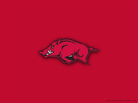 🔥 [50+] Arkansas Razorbacks Wallpapers | WallpaperSafari