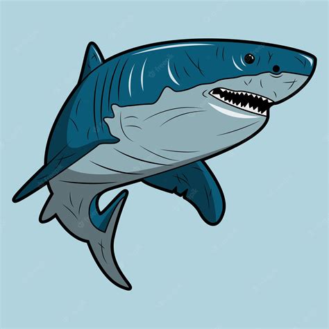 Premium Vector | Vector illustration a shark with many battle scars