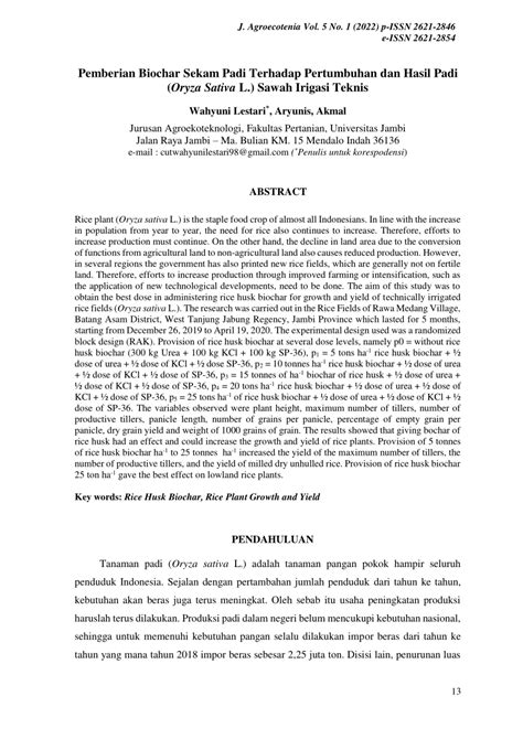 (PDF) Pemberian Biochar Sekam Padi Terhadap Pertumbuhan dan Hasil Padi (Oryza Sativa L.) Sawah ...