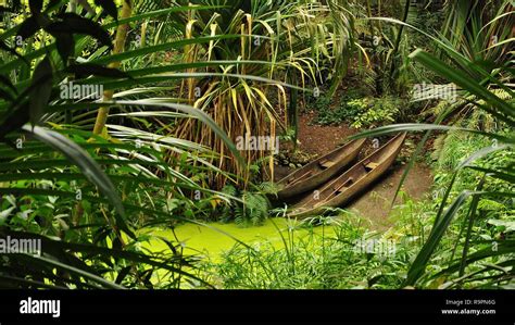 Masoala Rainforest Hall in Zoo Zurich Stock Photo - Alamy