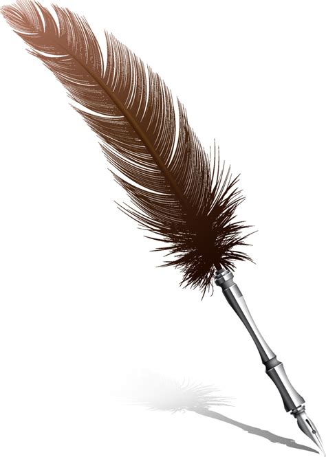 Feather Pen Quill Nib - feather png download - 759*1065 - Free Transparent Feather png Download ...