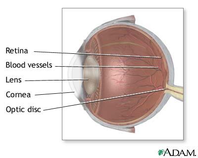 Ophthalmoscopy