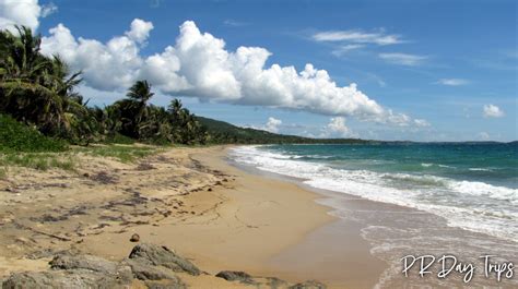 Playa Grande Beach on Vieques | PRDayTrips