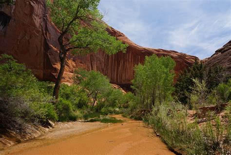 Hike Guide: Coyote Gulch – Across Utah!