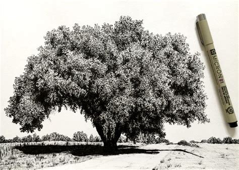 How to Draw Trees with Pens - Ran Art Blog | Tree drawing, Tree ...