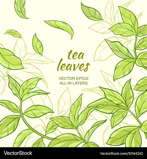 Tea leaves background Royalty Free Vector Image