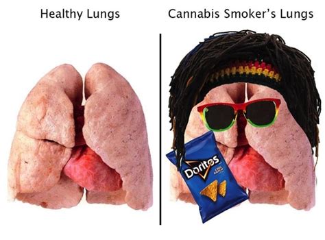 Healthy vs Cannabis Smoker Lungs - Meme Guy