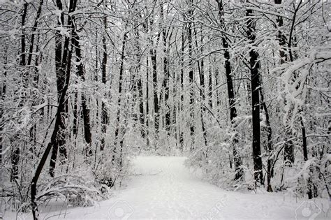 English, Literature, and the Bible: Stopping by Woods on a Snowy Evening/ Robert Frost